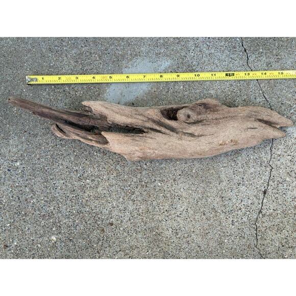 Ohio River Driftwood 15.5"x3"x3" - Picture 1 of 3